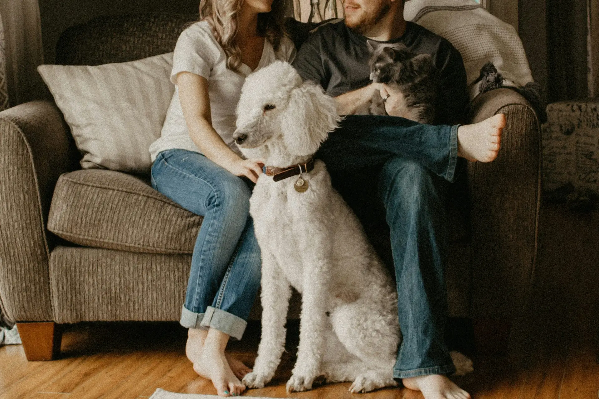 Renters insurance